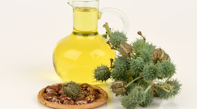 Aceite de ricino en el cabello es la solución para la caída y las «peladillas»