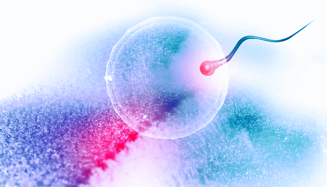 Síntomas del embarazo, ¿cuándo comienzan a aparecer después de la fecundación?