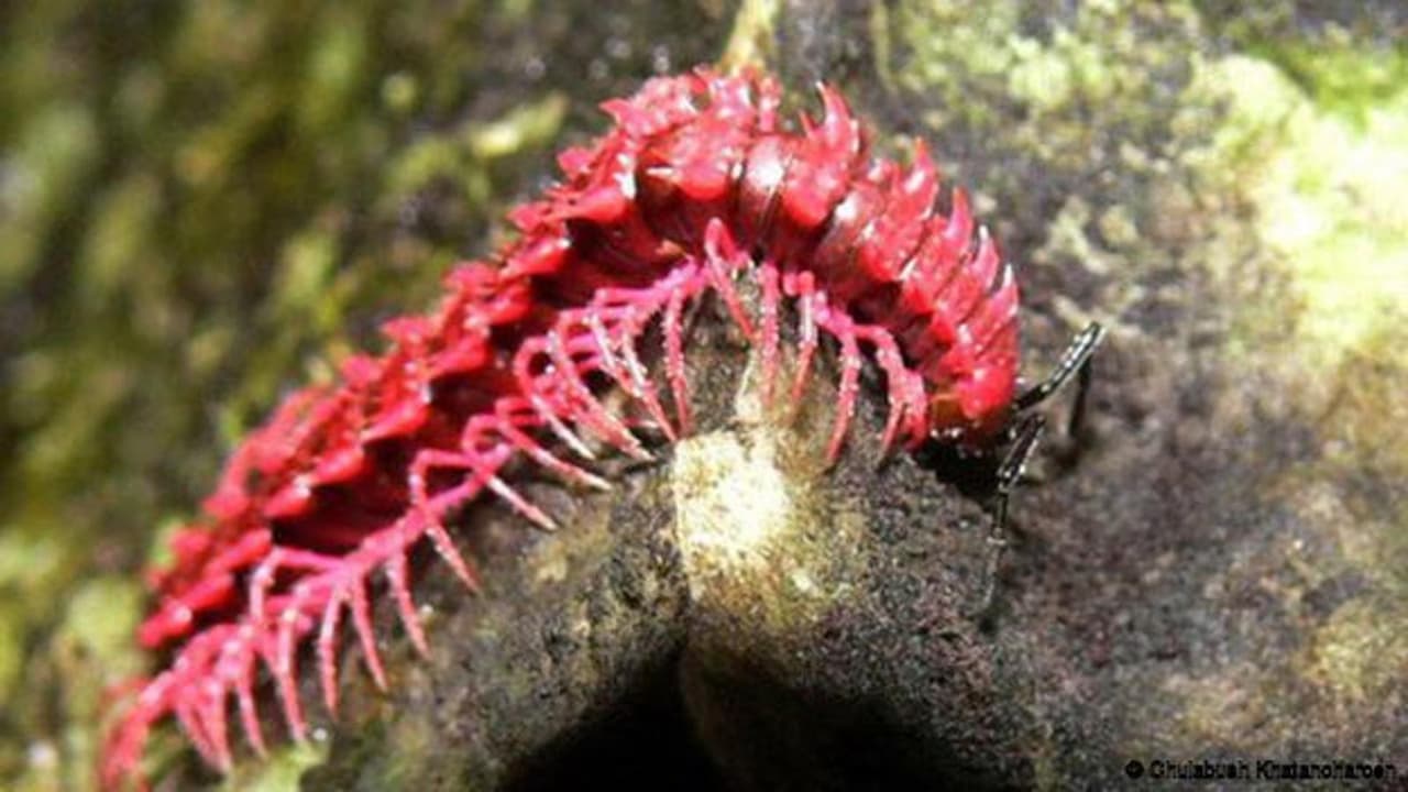 Los poderes de estos superhéroes sí son posibles en la vida real, la ciencia lo explica 