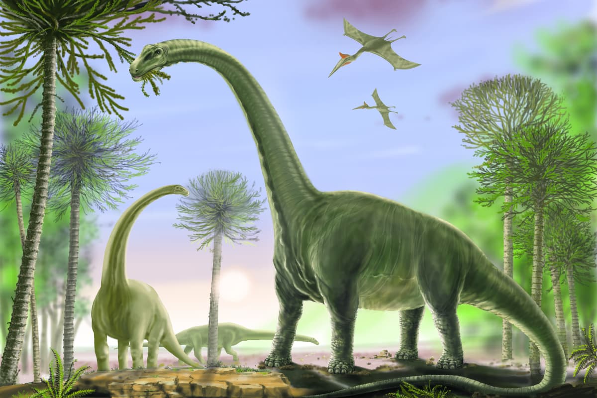 El dinosaurio más grande que habitó la Tierra era argentino: pesaba 70 toneladas