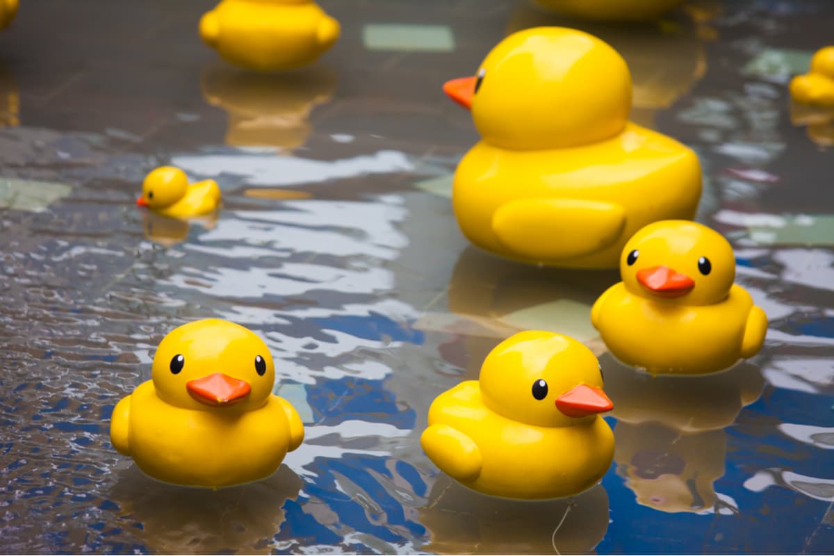 Unos patitos de hule son los responsables de mejores rutas marítimas: ¿cómo pasó?