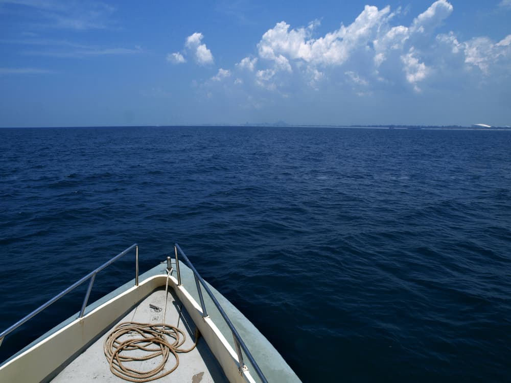 Estas criaturas de las profundidades marinas de Rusia son lo más increíble y aterrador que verás hoy