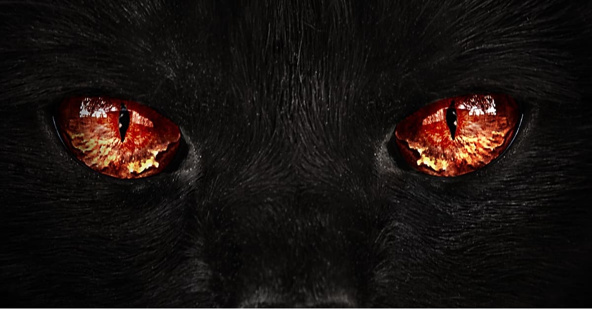 El tráiler de Pet Sematary tiene 2 grandes errores que están enojando a los fans, ¿los notaste?