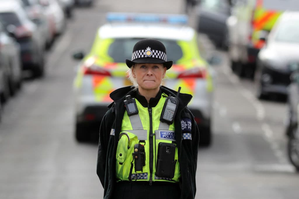 Estos patitos lograron cruzar una peligrosa avenida gracias a una ayuda muy especial