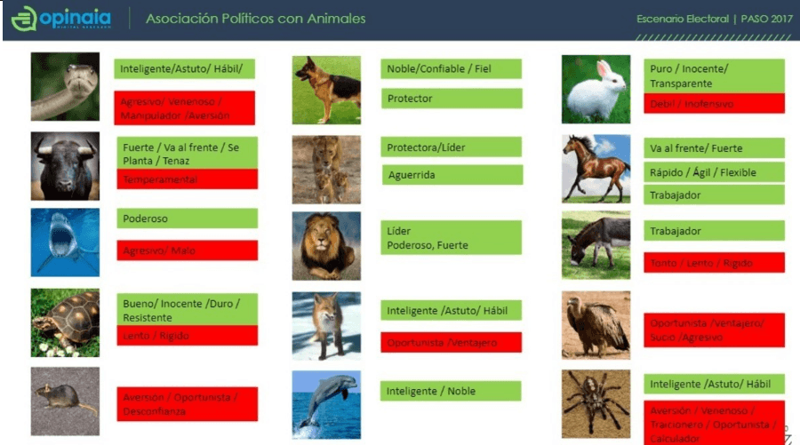 En clima de elecciones, la encuesta más divertida: ¿con qué animal asocias a los políticos?