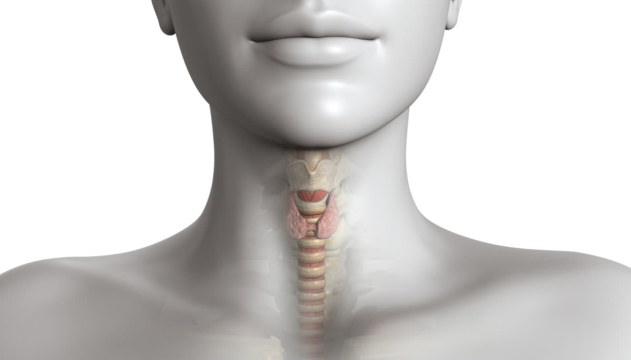 La papada no solo indica sobrepeso: puede ser síntoma de estos 4 problemas de salud