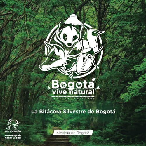 Bogotá's profile picture