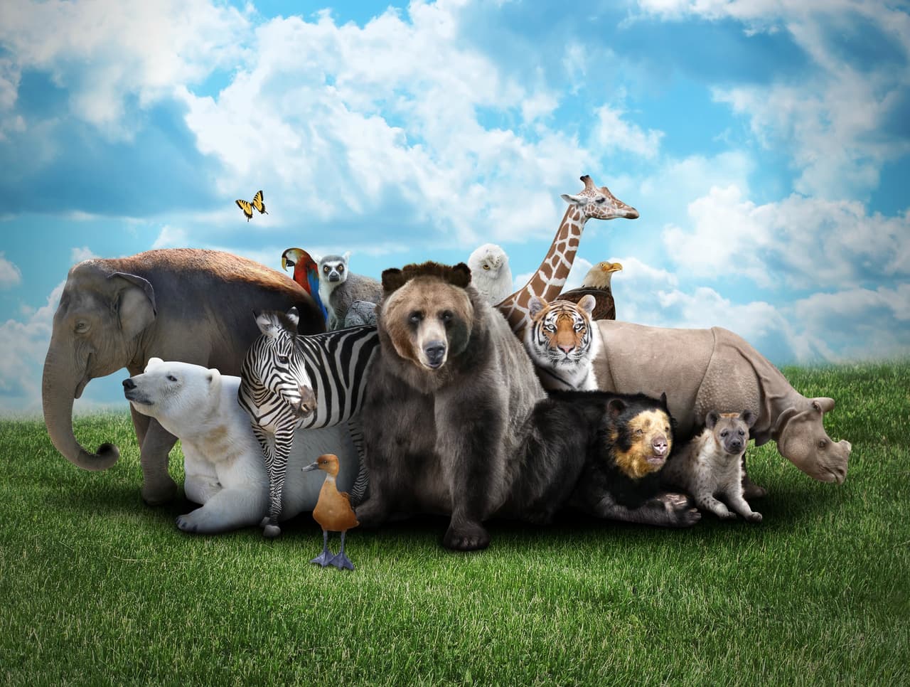 QUIZ:¿Qué tan bien conoces estas curiosidades acerca del mundo animal?