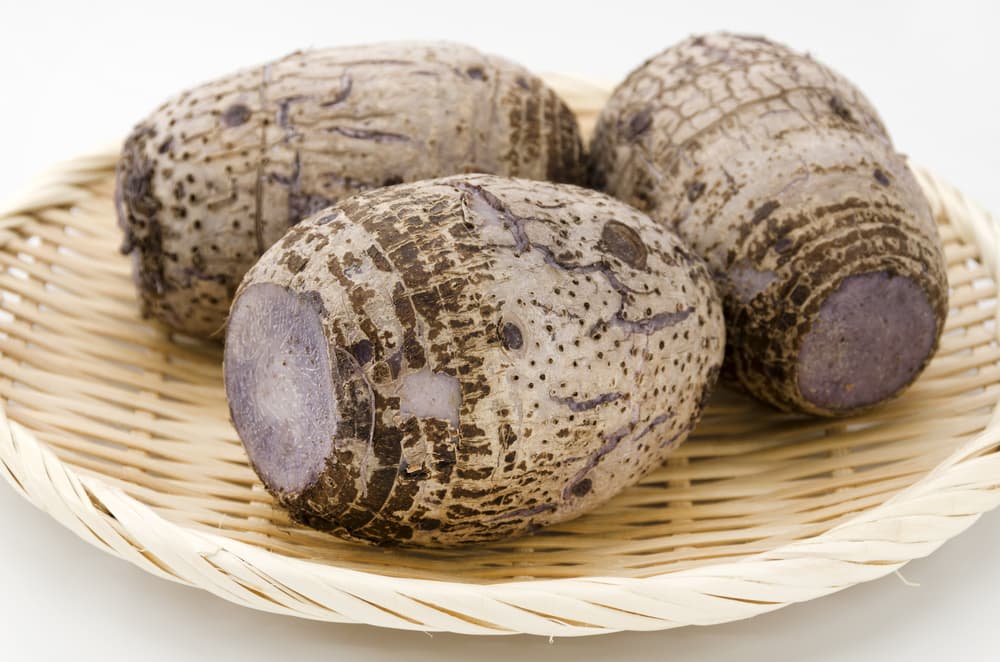 ¿Te encanta el taro, pero no sabes qué es ni qué beneficios tiene? Aquí te lo decimos
