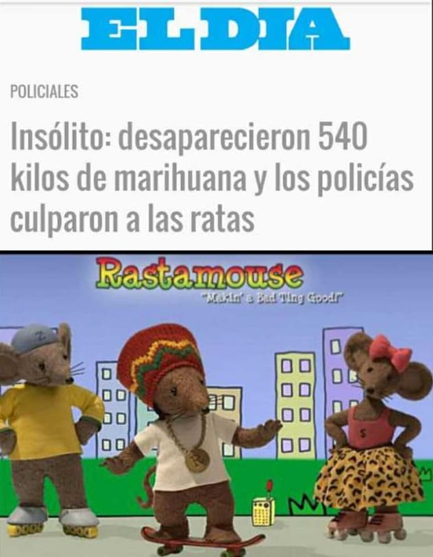 8 policías «pierden» media tonelada de marihuana, pero aseguran que un ratón fue el responsable del crimen