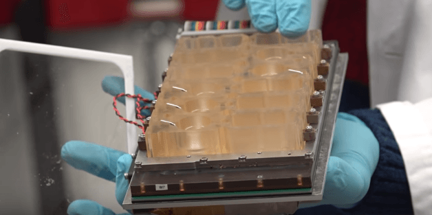 Especialistas crean una réplica exacta y funcional del sistema reproductivo femenino