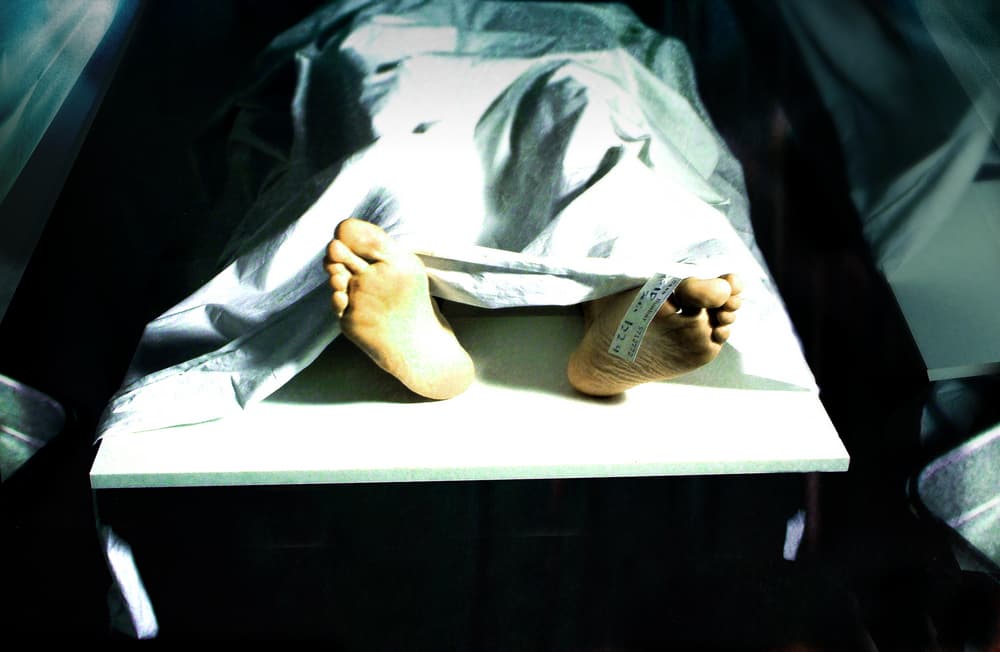 ¿Por qué las uñas y el pelo no se descomponen después de la muerte?