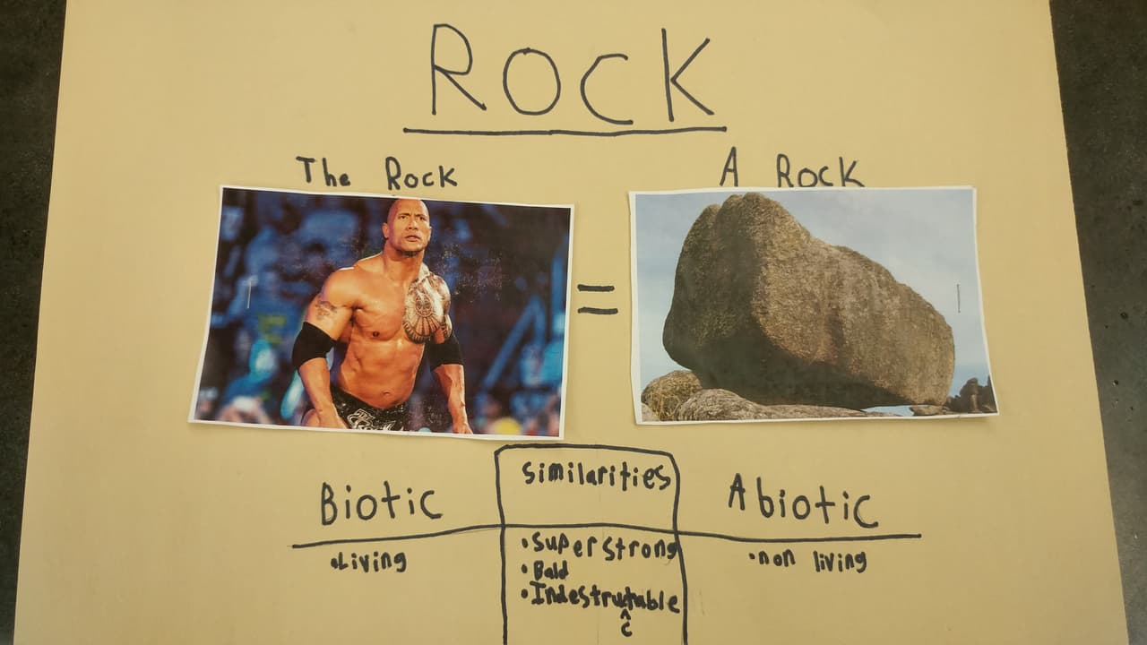 La Roca vs. una roca: un niño hizo un proyecto de ciencias basado en Dwayne Johnson, y el actor reaccionó