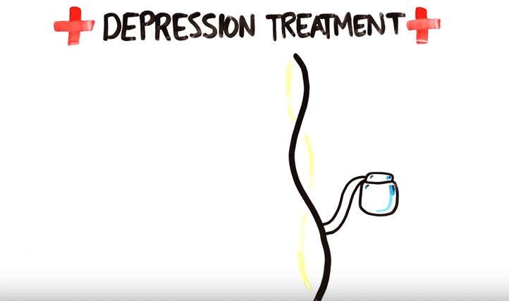 ¿Los humanos tenemos un «segundo cerebro»?
