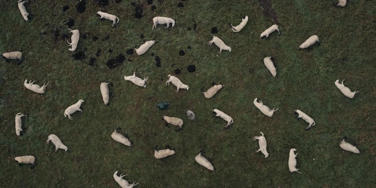 6 datos que necesitas conocer sobre la nueva serie favorita de Netflix