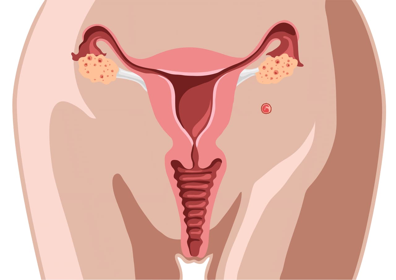 Conoce el punto K, la zona erógena que produce los mejores orgasmos (así puedes estimularlo)