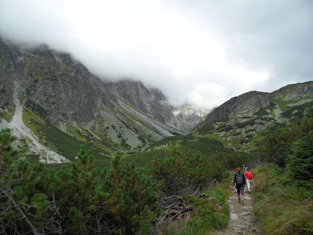 3 actividades ecofriendly para disfrutar Bogotá