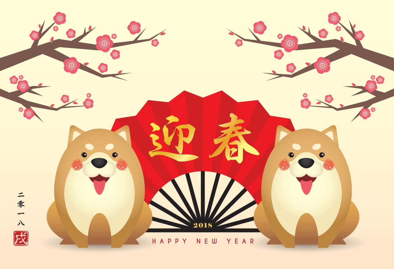 ¿Naciste en un Año del Perro? El Año Nuevo Chino te traerá buena suerte (y varios cambios)