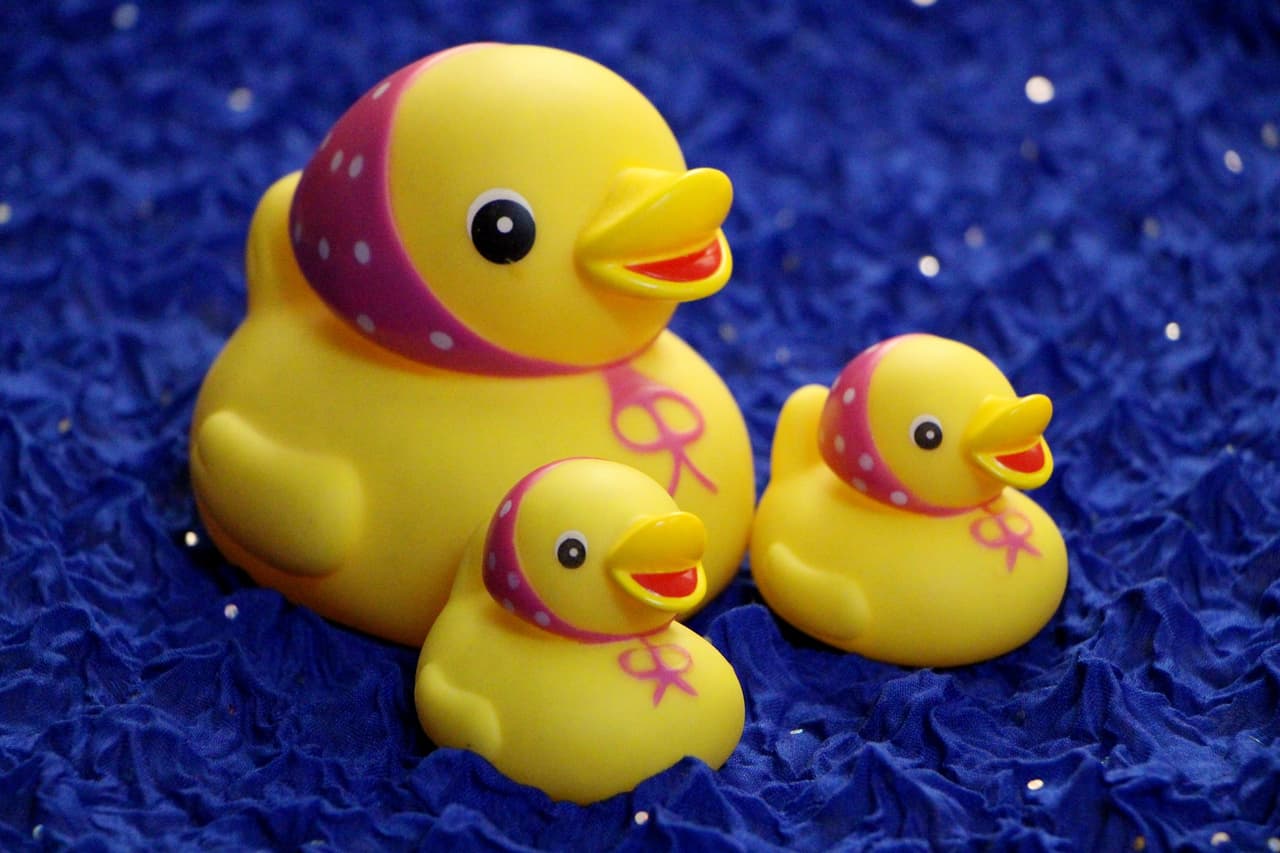 El curioso caso de los patitos de hule que aparecían misteriosamente en las playas del mundo