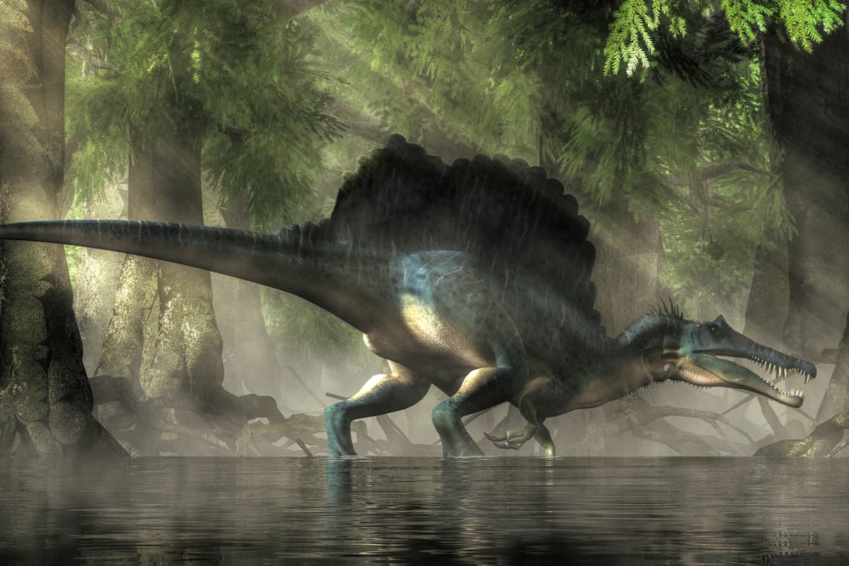 Conoce al aterrador monstruo de río que habitaba la prehistoria: el Spinosaurus