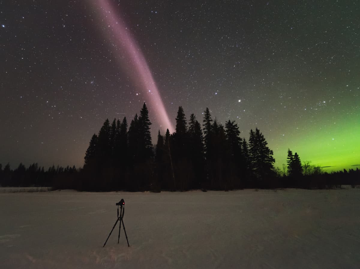 ¿Misterio resuelto? Steve NO es una aurora boreal, pero... ¿qué es entonces?