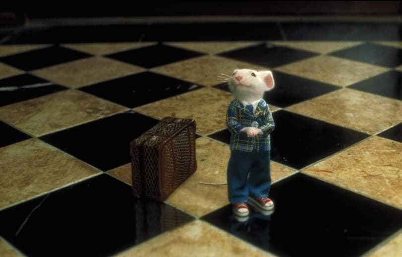 ¿Qué fue del tierno niño de ‘Stuart Little’? Cuando veas sus fotos te enamorarás