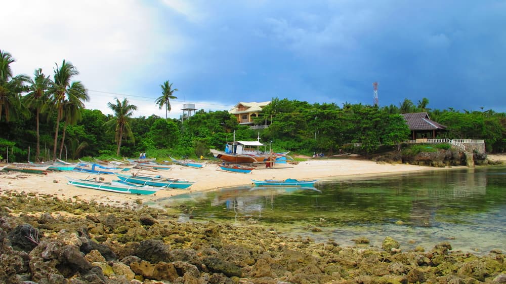Los tiburones zorro ayudan a Filipinas a recuperarse de un desastre natural