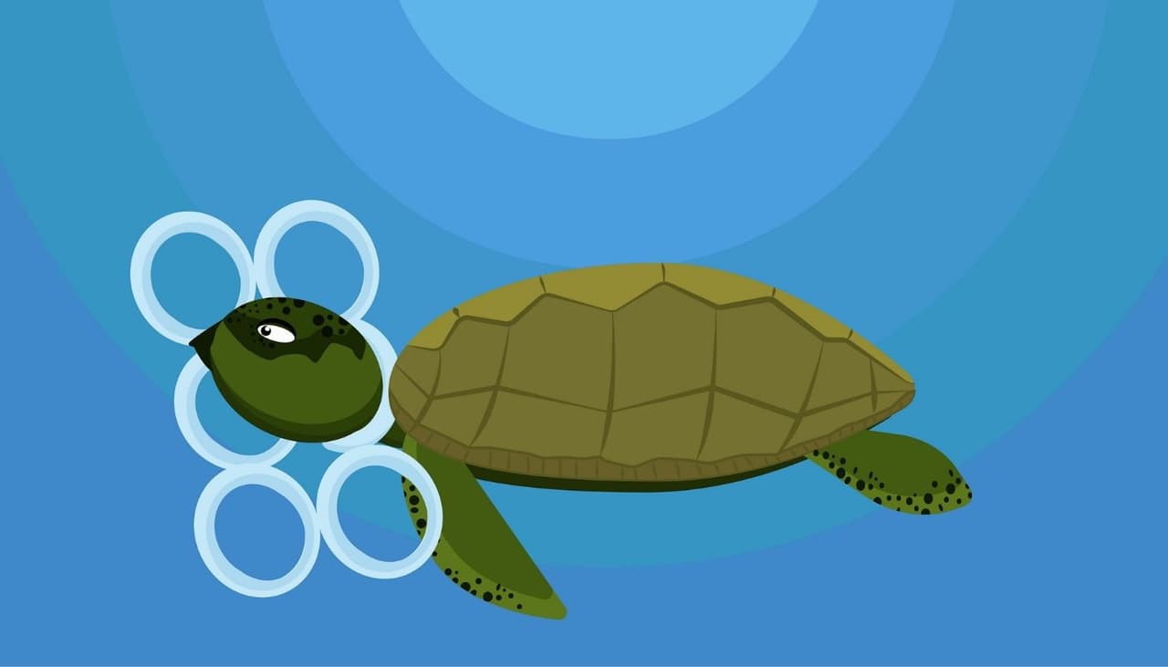 Anillos para six pack ecológicos: alimentan a las tortugas en lugar de maltratarlas