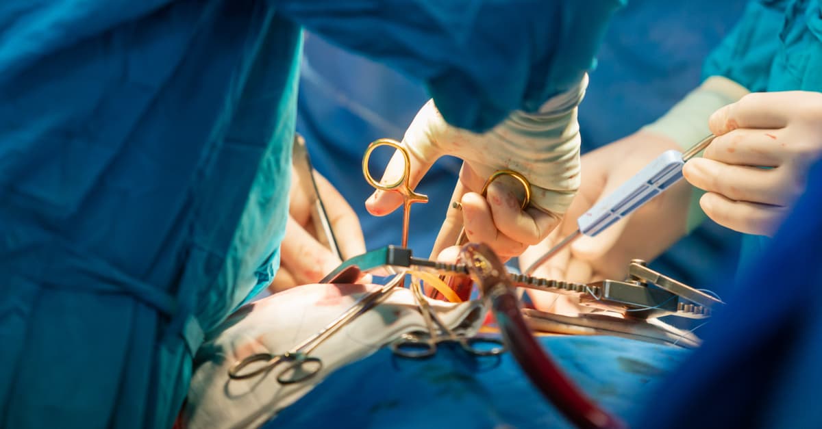 Gracias a un trasplante de útero, una mujer diagnosticada con infertilidad pudo tener a su bebé