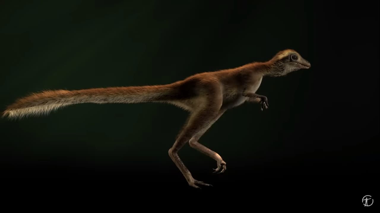 Un grupo de científicos reveló cómo era el T-Rex bebé y morirás de ternura