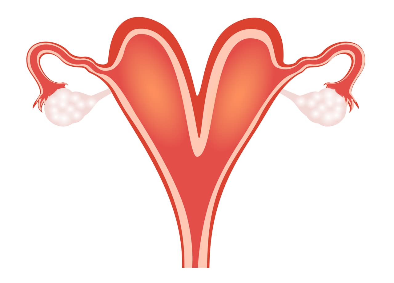 Embarazada con vientre en forma de corazón enloqueció al Internet y esta es la razón