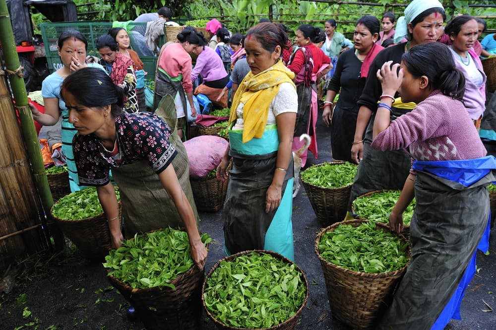 Las fotos de Kessler nos recuerdan que la simplicidad es un gran camino a la felicidad