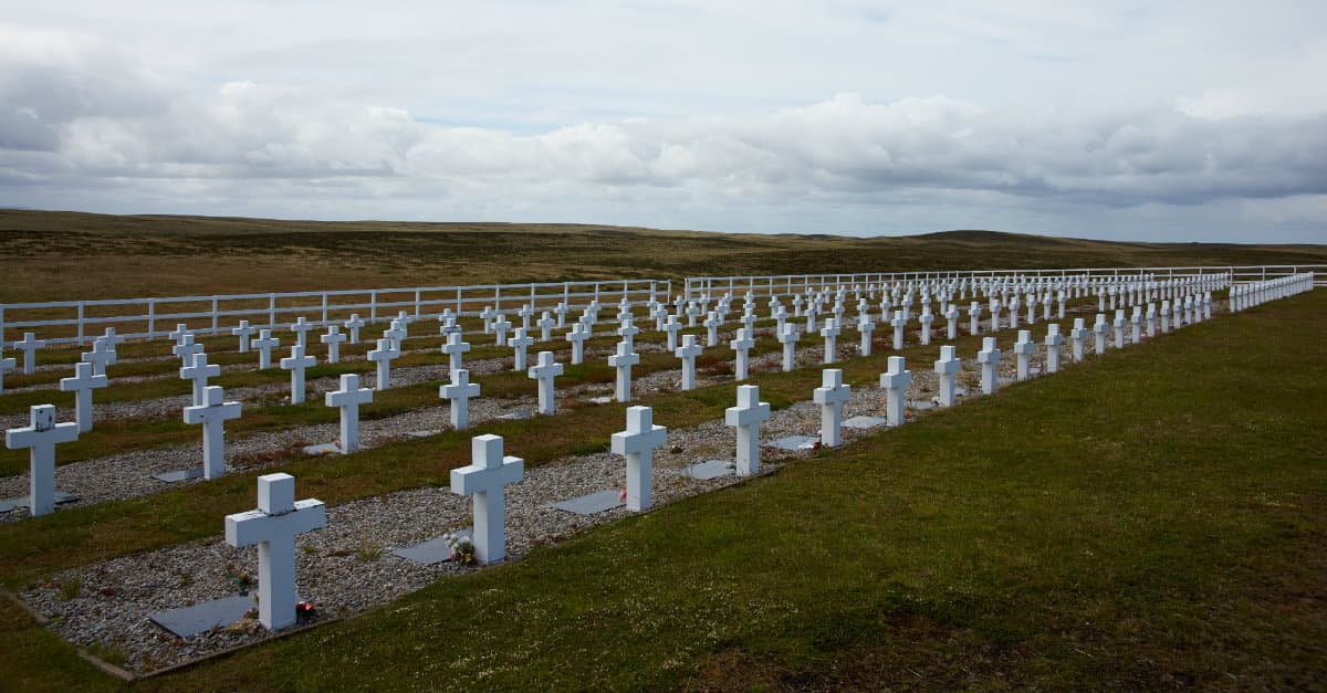 ¿Te gustaría visitar las Islas Malvinas? Esto es lo que tenés que saber