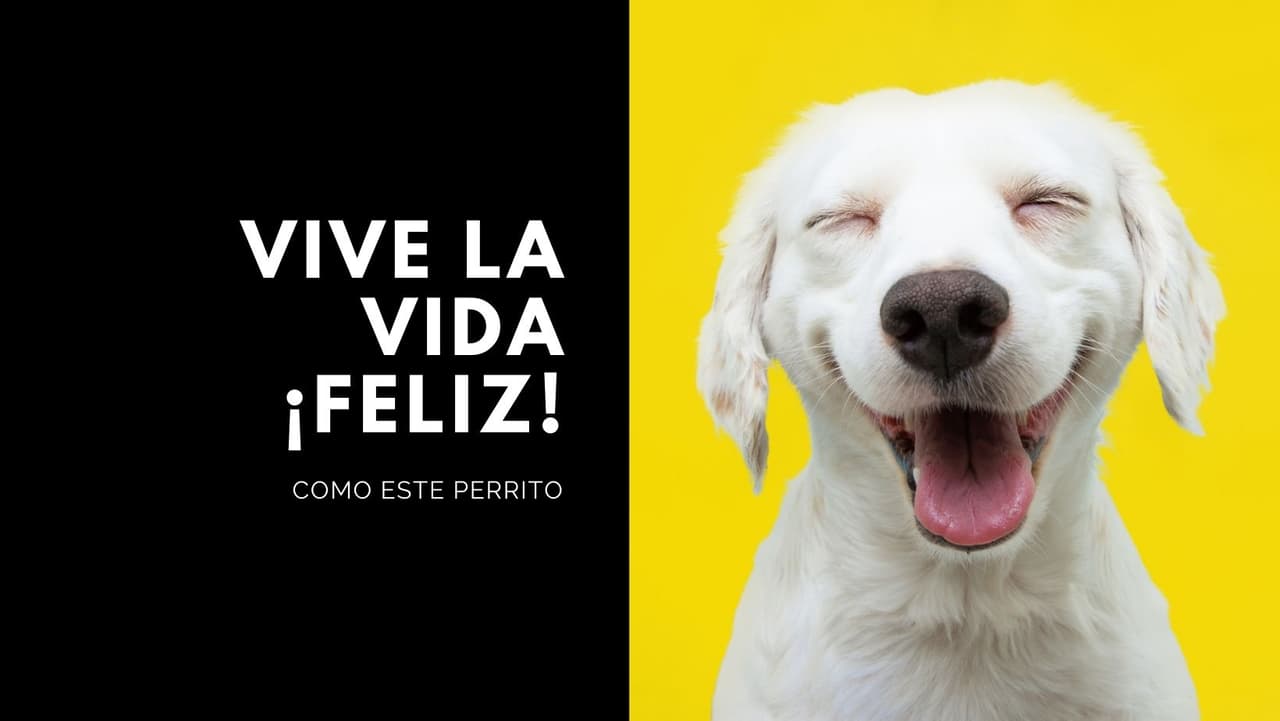 ¿Realmente haces lo necesario para celebrar tu vida? ¡Compruébalo!