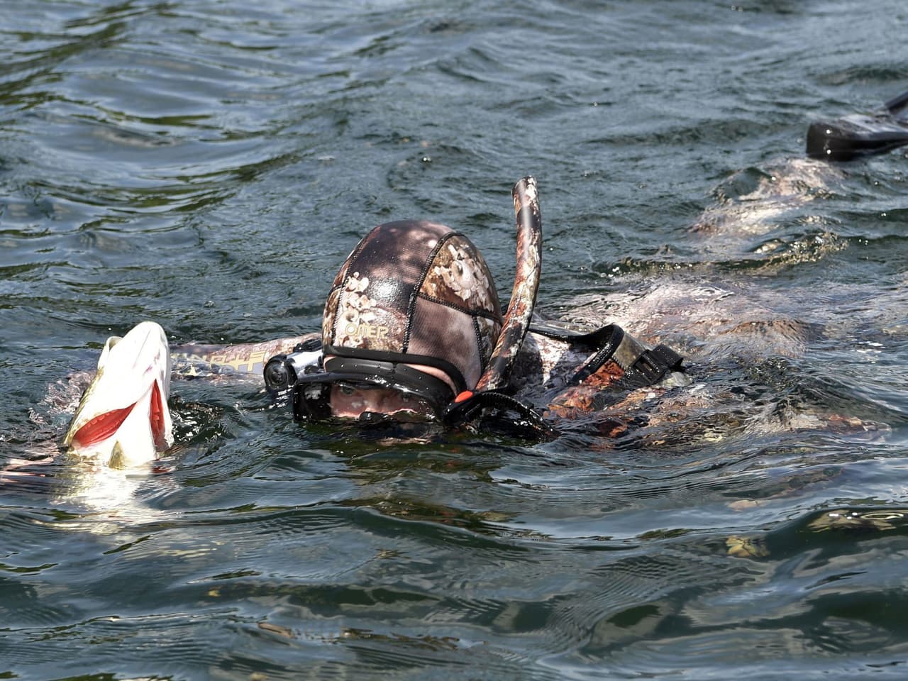 La sopa de Putin te dará la fuerza de un oso: ¡te revelamos la receta!