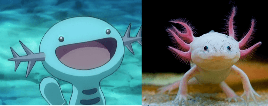 Estas son las pruebas de que los pokémon están inspirados en especies mexicanas