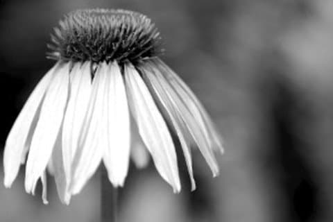 Menopausa: 20 mitos e verdades