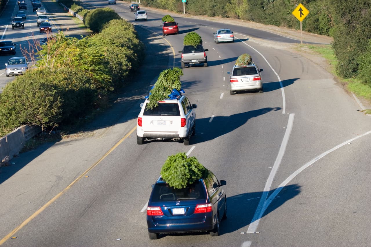 <b>Conduce con precaución.</b> Siempre es importante manejar a la defensiva, pero no está de más hacerlo con una dosis extra de cuidado cuando transportas un árbol que no solo es grande, sino también pesado.