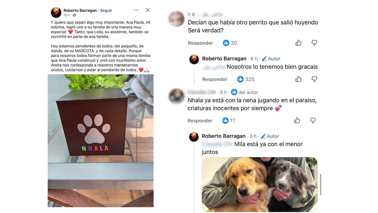 Mila era la otra canina que formaba parte de la familia de Jonathan Meléndez.