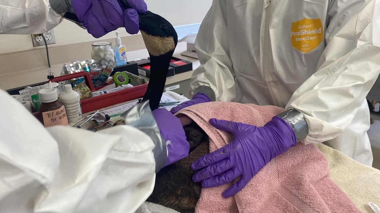 Derrame de combustible Natomas