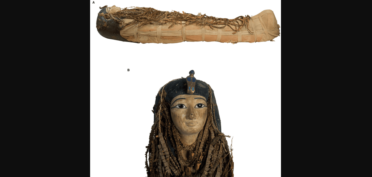 (A) La imagen de la vista lateral derecha de la momia de Amenhotep I muestra el cuerpo completamente envuelto en lino, cubierto de pies a cabeza con guirnaldas florales y con una máscara en la cabeza. (B) Imagen de la máscara de cabeza de la momia de Amenhotep I realizada en madera pintada y cartonaje.