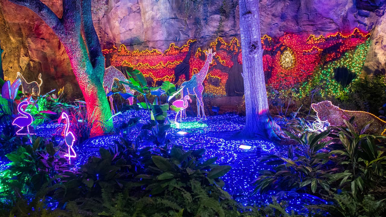 El zoológico brinda varias atracciones para que los más pequeños disfruten su visita como un bosque encantado 4D, tomarse fotos en un trono de hielo gigante y hasta conocer a San Nicolás, manteniendo la distancia.