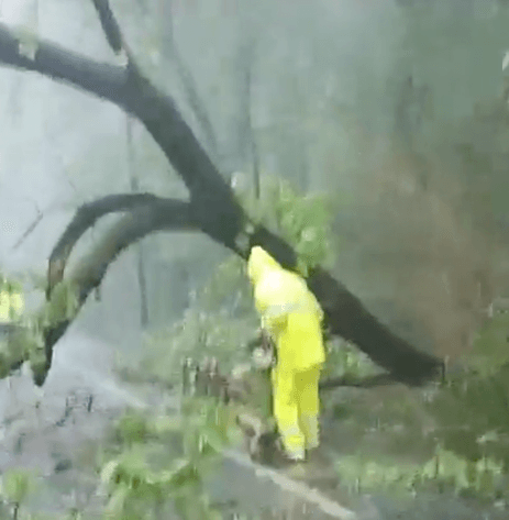 CONDADO DE JACKSON. Daños en Jefferson, Georgia.