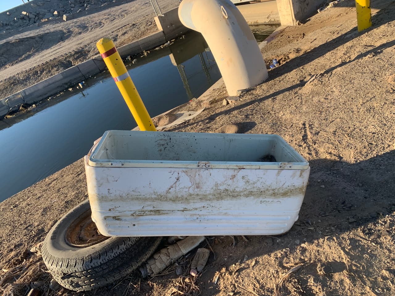 Ofrecen recompensa para saber quién mató a un venado hembra y dejó el cuerpo descarnado en Yuma