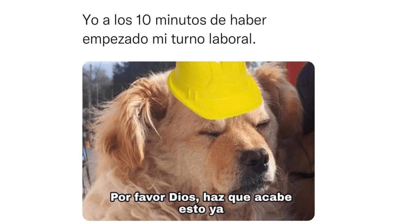 Memes para sobrevivir al lunes