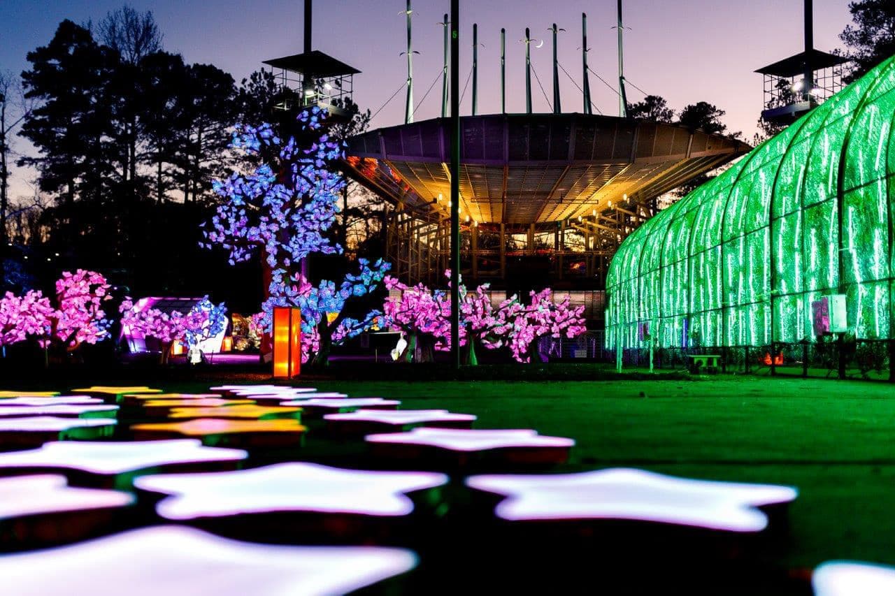 <b><a href="https://www.boothamphitheatre.com/events-tickets/events/chinese-lantern-festival">North Carolina Chinese Lantern Festival-Cary (A partir del 18 de noviembre)</a></b>: La tradición navideña más espectacular del área de Raleigh está de vuelta. El anfiteatro Koka Booth de Cary volverá a servir como sede del Festival de los Faroles Chinos de Carolina del Norte cuando regrese este invierno por séptimo año.