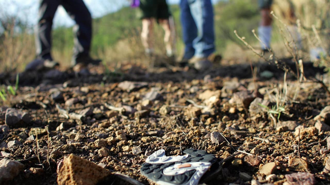 Al menos 26 inmigrantes murieron en la frontera de Arizona – Sonora en enero