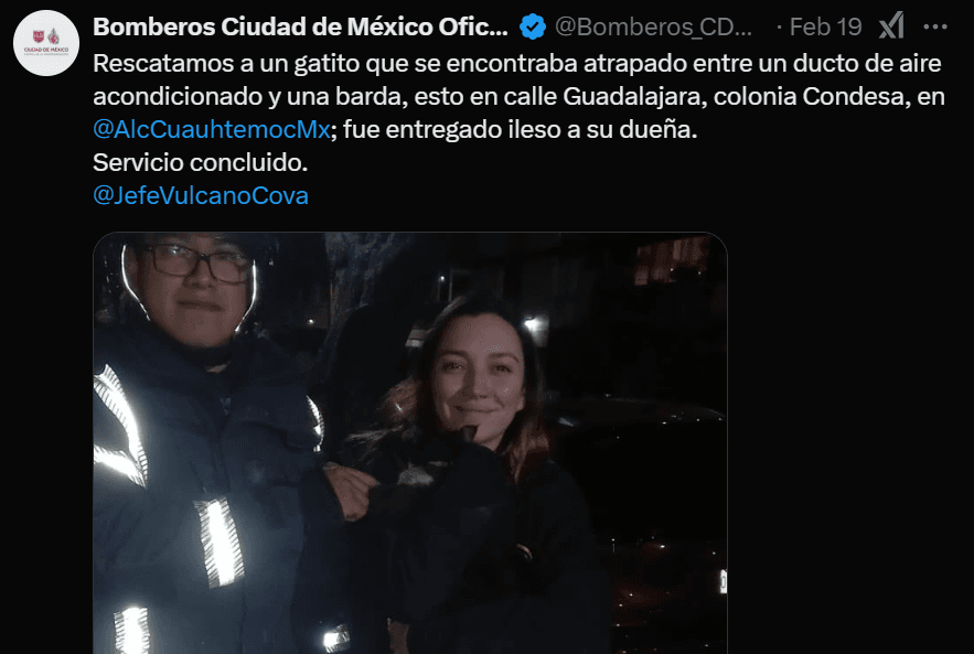 Bomberos de la Ciudad de México rescataron al gato de Regina Blandón