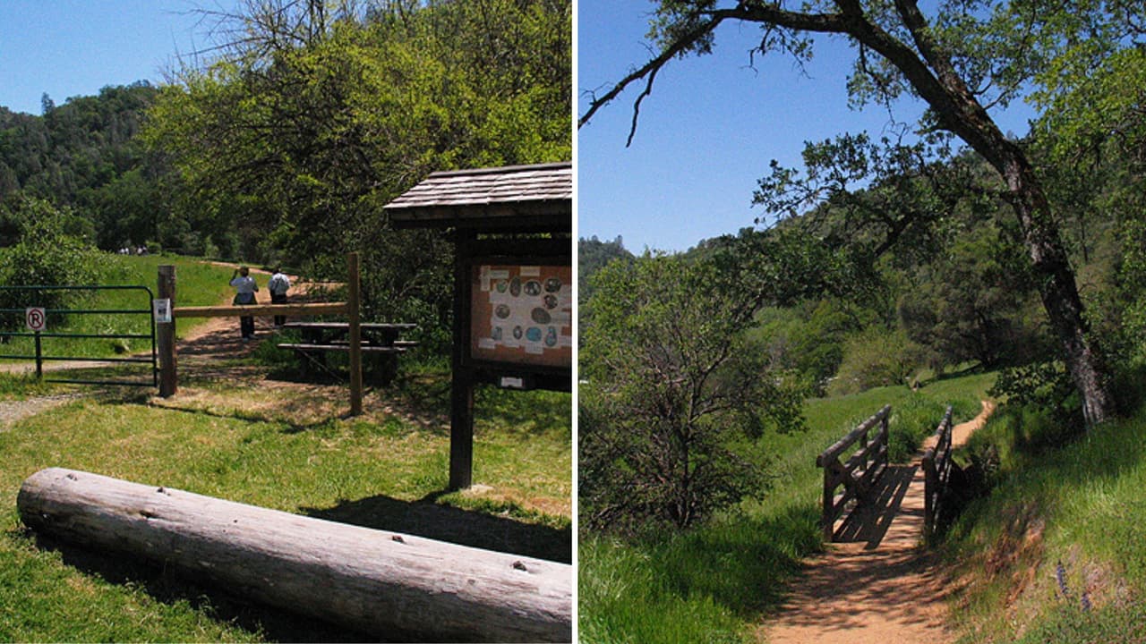 Si quieres escapar un poco más lejos, a unas 65 millas de
<b>Sacramento</b> se encuentra el
<b>Parque estatal del sur del río Yuba. </b>
<br>
<br>El parque tiene múltiples senderos que llevan a sitios históricos de minas de los tiempos de la fiebre del oro en California. A esto le agregas un impresionante paisaje del cañón y el río.
<br>
<br>El camino por
<b>Buttermilk Bend Trail</b> es el más popular. Tiene 2.4 millas y toma menos de una hora en completar ida y vuelta. Y si quedas con ganas de más, tienen otras opciones cortas para explorar perfectas para toda la familia debido a que la mayoría son de fácil acceso.
<br>
<br>Si quieres un reto mayor, puedes pedir direcciones de las rutas más largas a los guardaparques en el Centro de Visitantes. Abren todos los días desde el amanecer hasta el atardecer.
<br>
<br>
<b>Dirección:</b>
<a href="https://www.google.com/maps/place/South+Yuba+River+State+Park/@39.2927268,-121.1935665,15z/data=!4m5!3m4!1s0x0:0x690e341c26b9349f!8m2!3d39.2927268!4d-121.1935665" target="_blank">17660 Pleasant Valley Rd, Penn Valley, CA 95946</a>
<br>
<br>Para cualquier información adicional sobre los Parques Estatales de California, puedes llamar al (916) 653-6995.