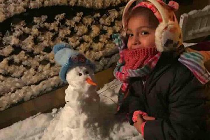 Muchos aprovecharon el raro evento para tomarse fotos, jugar con la nieve y construir el tradicional muñeco navideño.